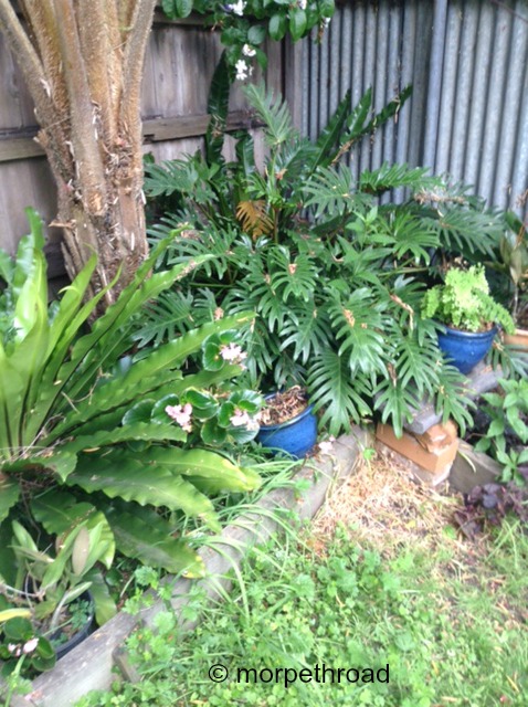 14EA0C03-1948-4891-AD83-727ED30C6B63