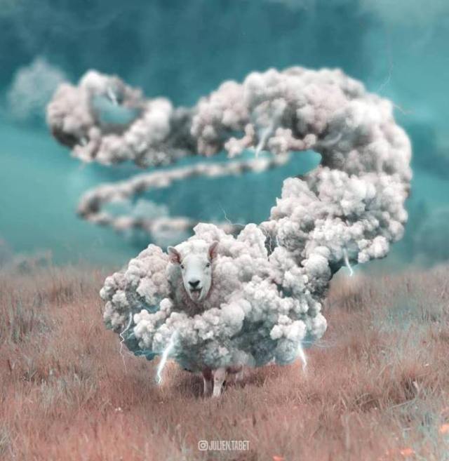 68576969_2225338217705330_1980946802198708224_n