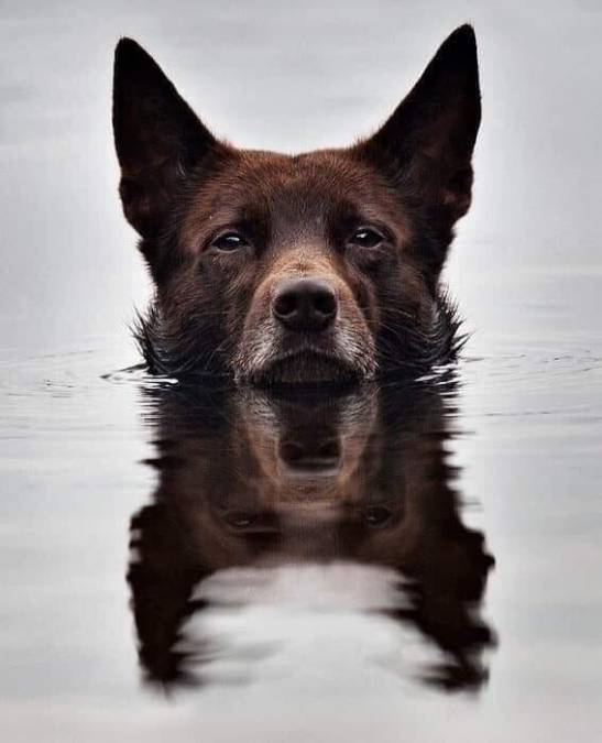 71516221_2340889402827347_7132827509032222720_n