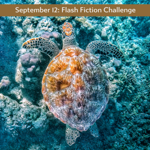 copy-of-working-template-for-ff-challenges10